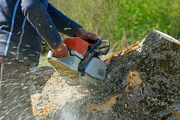Soil Testing and Treatment in Wading River, NY